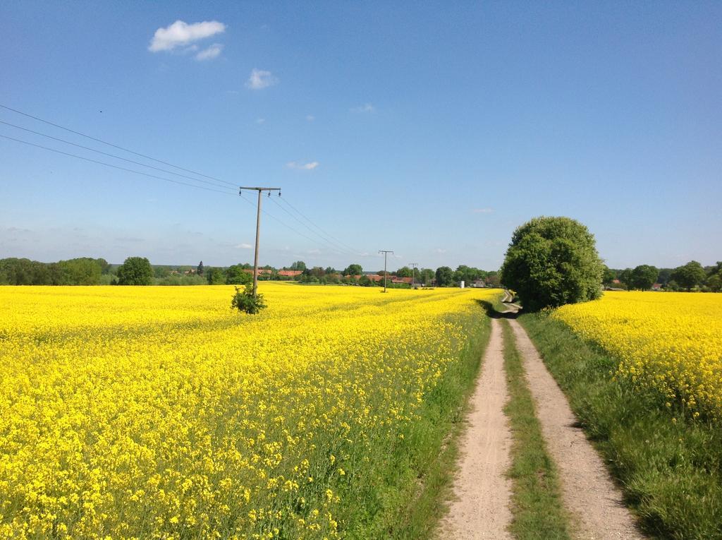 Landpension Zum Kleinen Urlaub Wredenhagen Kültér fotó